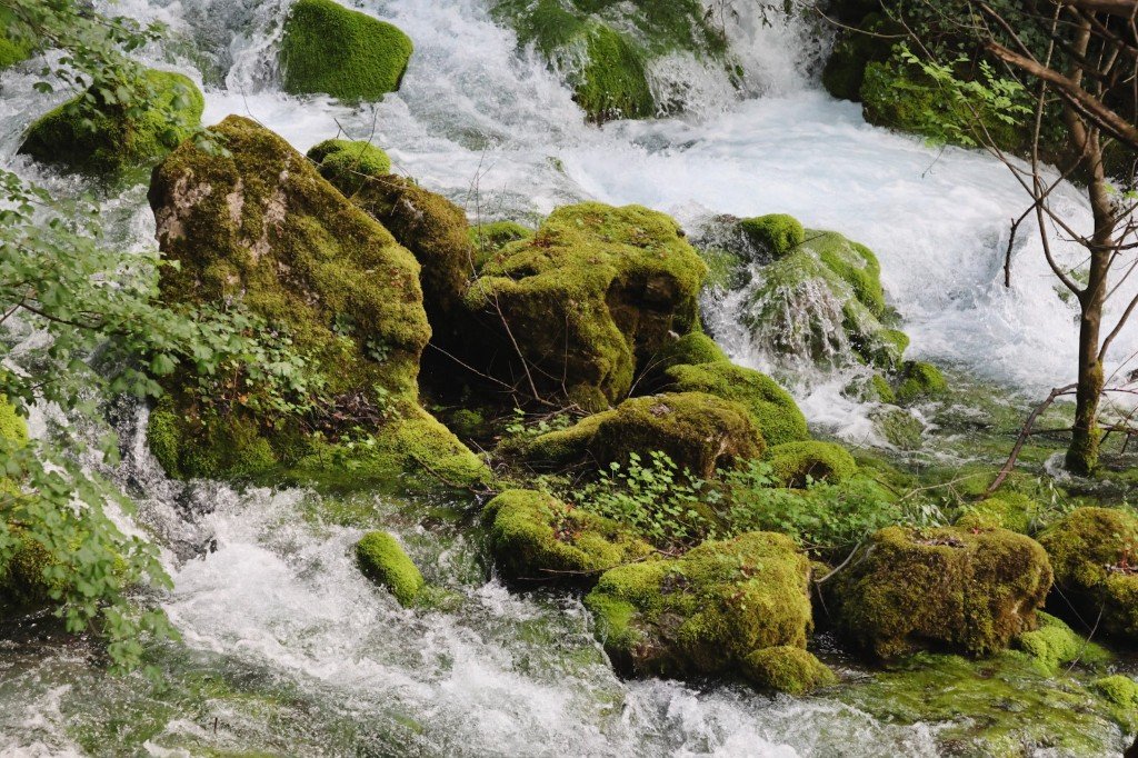 Mossy Mountain Stream